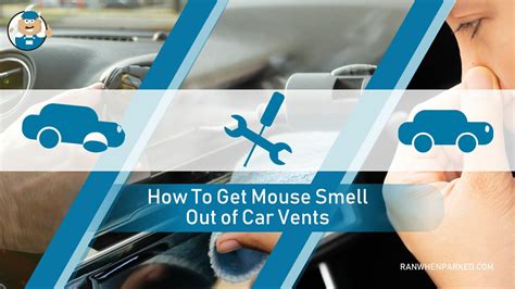 How to Get Mice Smell Out of Car: Exploring Unconventional Tips and Tricks Alongside Common Sense Solutions